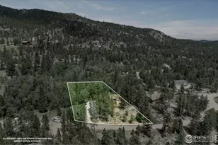 28 Nonami Ct, Red Feather Lakes, CO 80545 - Photo 31