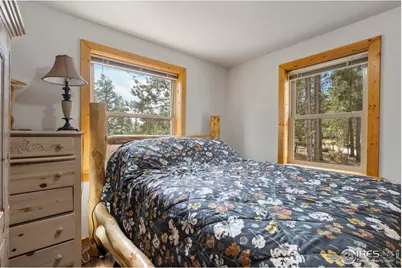 28 Nonami Ct, Red Feather Lakes, CO 80545 - Photo 19