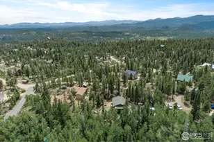 28 Nonami Ct, Red Feather Lakes, CO 80545 - Photo 29