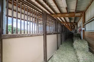 796 Abrams Way, Loveland, CO 80537 - Photo 33