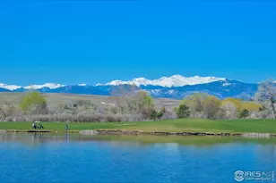 312 Whitney Bay, Windsor, CO 80550 - Photo 39