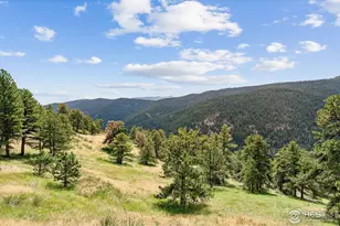 3907 Ridge Rd, Nederland, CO 80466 - Photo 41
