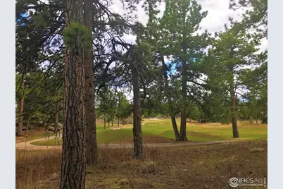 520 Fox Acres Dr W, Red Feather Lakes, CO 80545 - Photo 7