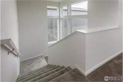 6113 Saddle Horn Dr, Timnath, CO 80547 - Photo 17