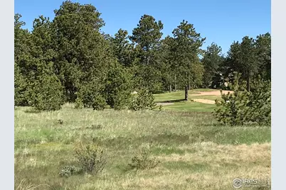 3 Fox Meadow Ln #Lot 3, Red Feather Lakes, CO 80545 - Photo 9