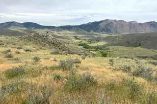 1675 Hewlett Gulch Rd, Livermore, CO 80536 - Photo 23