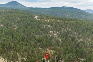 2248 Riverside Dr, Lyons, CO 80540 - Photo 3