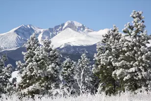 1565 Hwy 66 #, Estes Park, CO 80517 - Photo 19