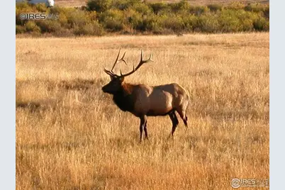 1565 Highway 66 ##46, Estes Park, CO 80517 - Photo 17