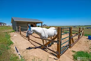 16478 Essex Rd S, Platteville, CO 80651 - Photo 13