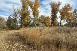 16478 Essex Rd S, Platteville, CO 80651 - Photo 41