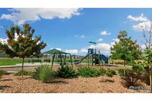 6743 Sequoia St, Frederick, CO 80530 - Photo 39