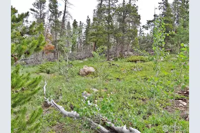 1683 Osage Trl, Red Feather Lakes, CO 80545 - Photo 1