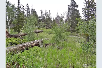 1683 Osage Trl, Red Feather Lakes, CO 80545 - Photo 3