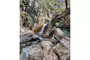 37797 W Hwy 14, Bellvue, CO 80512 - Photo 39