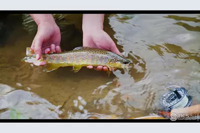 37797 W Highway 14, Bellvue, CO 80512 - Photo 3