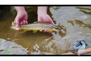 37797 W Hwy 14, Bellvue, CO 80512 - Photo 3