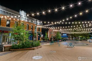 1014 Birdwhistle Ln, Fort Collins, CO 80524 - Photo 29