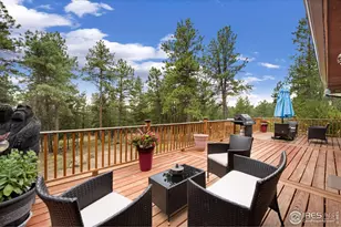 269 Cox Ct, Bellvue, CO 80512 - Photo 17