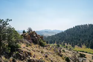 23 E Quandary Ct, Livermore, CO 80536 - Photo 27