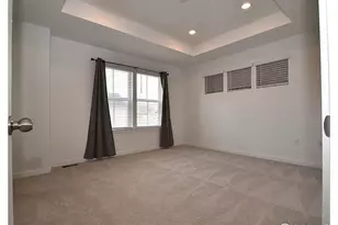 599 Greenville Aly, Erie, CO 80516 - Photo 21