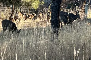 4012 Lakefront Dr, Loveland, CO 80537 - Photo 35