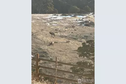 27033 Thea Gulch Rd, Golden, CO 80403 - Photo 45