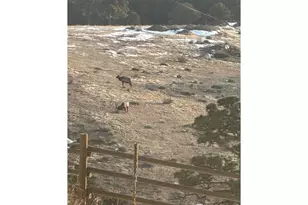 27033 Thea Gulch Rd, Golden, CO 80403 - Photo 45