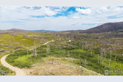 529 Quartz Rd, Bellvue, CO 80512 - Photo 19