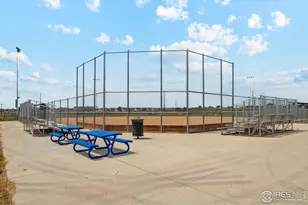 963 Cascade Falls St, Severance, CO 80550 - Photo 23