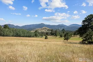 8558 Flagstaff Rd, Boulder, CO 80302 - Photo 43