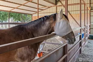 16490 Co Rd 15, Platteville, CO 80651 - Photo 39