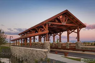 1877 Spring Bloom Dr, Windsor, CO 80550 - Photo 29