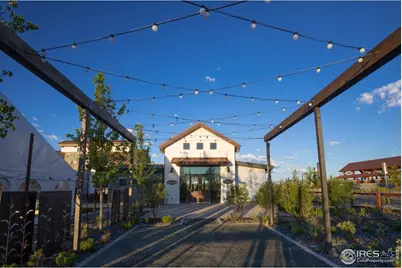 1877 Spring Bloom Dr, Windsor, CO 80550 - Photo 27