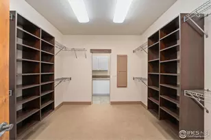 6558 Murano Dr, Windsor, CO 80550 - Photo 33