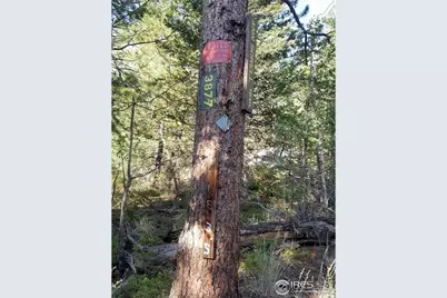 4200 Conifer Hill Rd, Lyons, CO 80540 - Photo 19