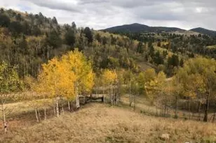 499 Granite Ln, Cripple Creek, CO 80813 - Photo 1