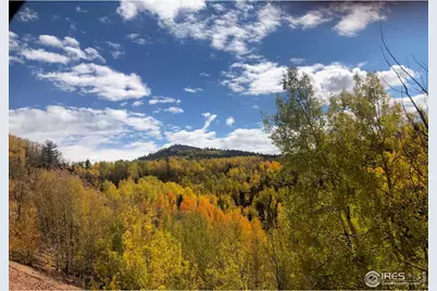 499 Granite Ln, Cripple Creek, CO 80813 - Photo 11