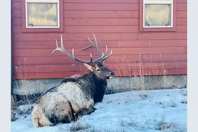 810 Larkspur Rd, Estes Park, CO 80517 - Photo 37