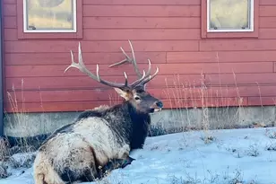 810 Larkspur Rd, Estes Park, CO 80517 - Photo 37