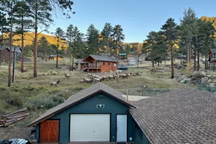 810 Larkspur Rd, Estes Park, CO 80517 - Photo 35