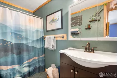 810 Larkspur Rd, Estes Park, CO 80517 - Photo 21