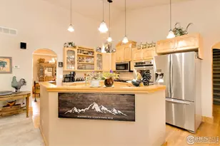 98 Deadhorse Mountain Ct, Livermore, CO 80536 - Photo 19