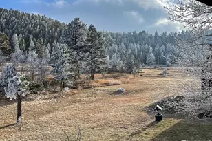 98 Deadhorse Mountain Ct, Livermore, CO 80536 - Photo 45