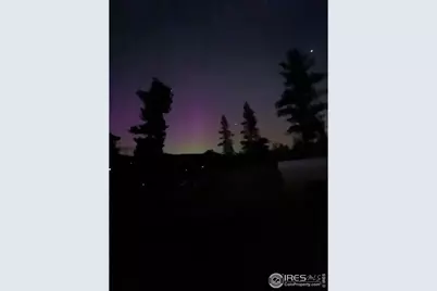 141 Tami Rd, Red Feather Lakes, CO 80545 - Photo 43