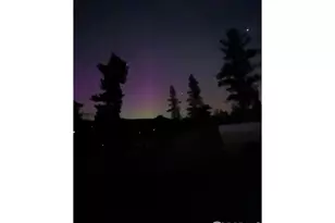 141 Tami Rd, Red Feather Lakes, CO 80545 - Photo 43