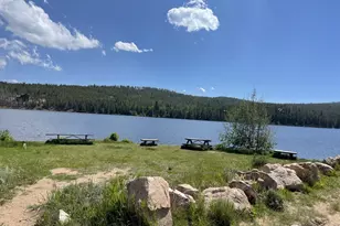 141 Tami Rd, Red Feather Lakes, CO 80545 - Photo 45