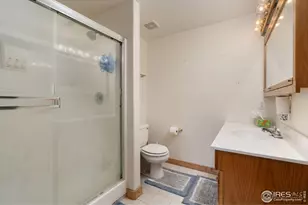 141 Tami Rd, Red Feather Lakes, CO 80545 - Photo 23