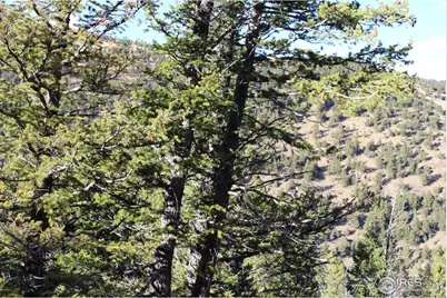 0 Pennsylvania Gulch Rd, Boulder, CO 80302 - Photo 9