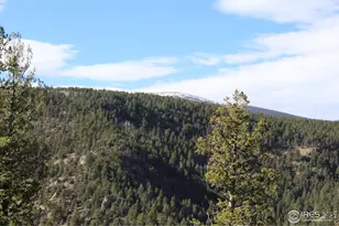 0 Pennsylvania Gulch Rd, Boulder, CO 80302 - Photo 3